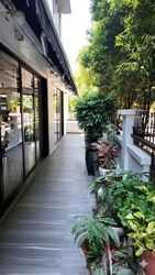 Begonia Road (D28), Terrace #544825211